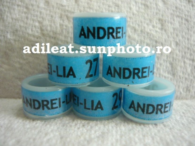 P1120936 - 1-A-INELE PERSONALIZATE 2017