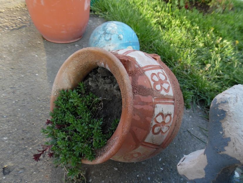  - 000 Aprilie in gradina