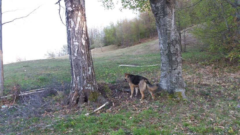  - Drumetie 27 aprilie 2017