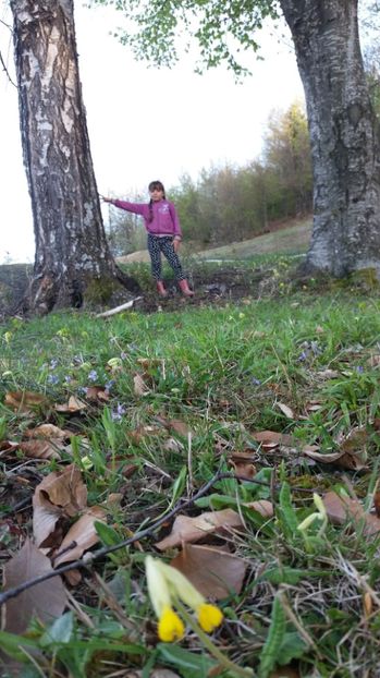  - Drumetie 27 aprilie 2017