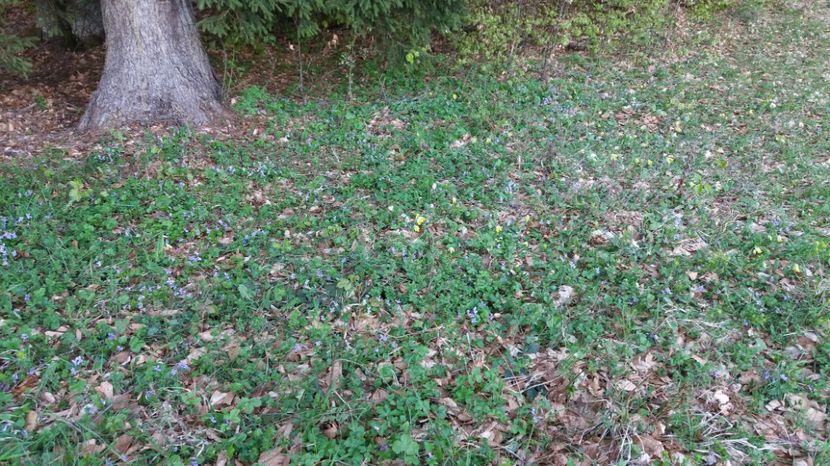  - Drumetie 27 aprilie 2017