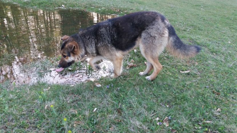 Alergatul ne provoaca sete mare - Drumetie 27 aprilie 2017