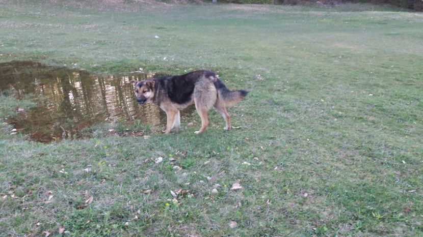  - Drumetie 27 aprilie 2017