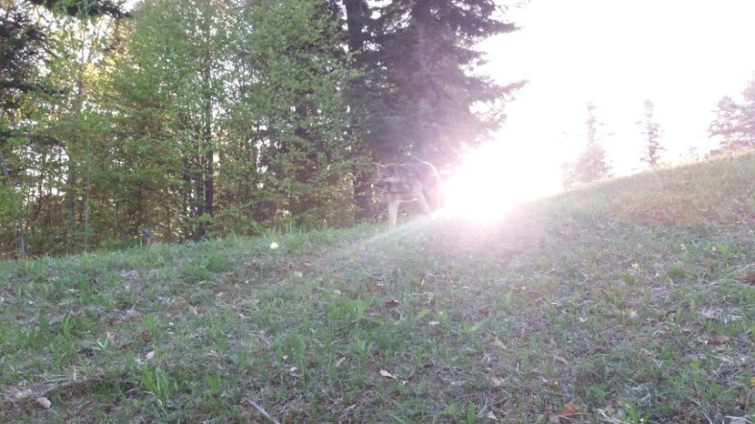 Apus de vis - Drumetie 27 aprilie 2017