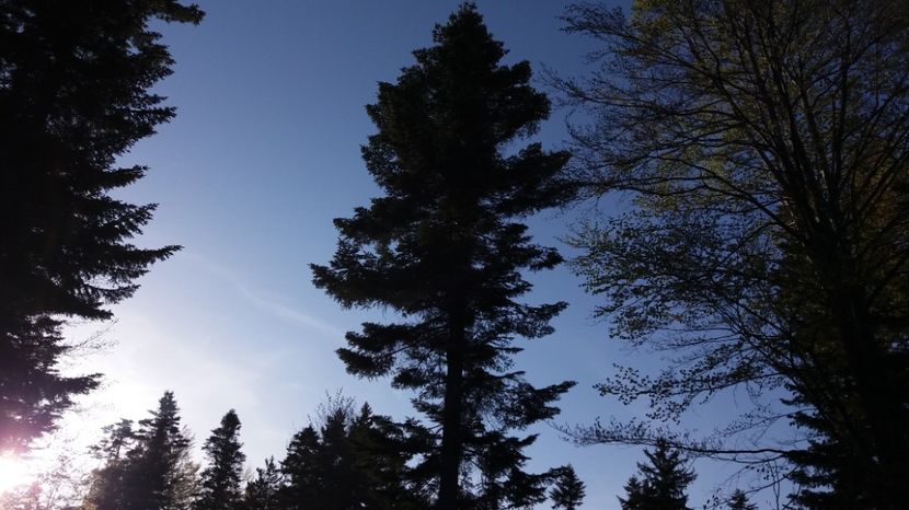  - Drumetie 27 aprilie 2017