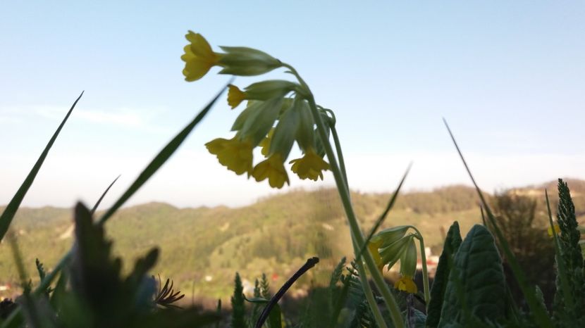  - Drumetie 27 aprilie 2017