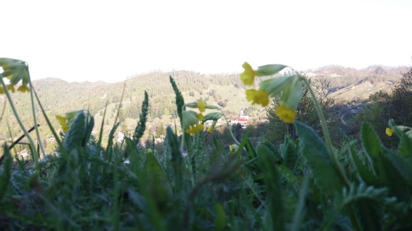  - Drumetie 27 aprilie 2017