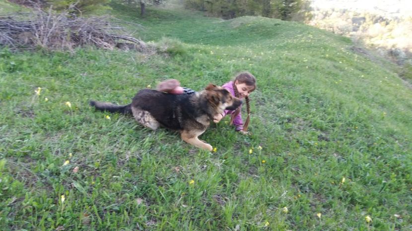  - Drumetie 27 aprilie 2017