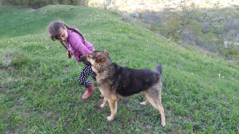  - Drumetie 27 aprilie 2017