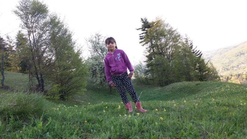  - Drumetie 27 aprilie 2017