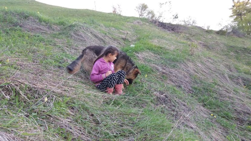  - Drumetie 27 aprilie 2017