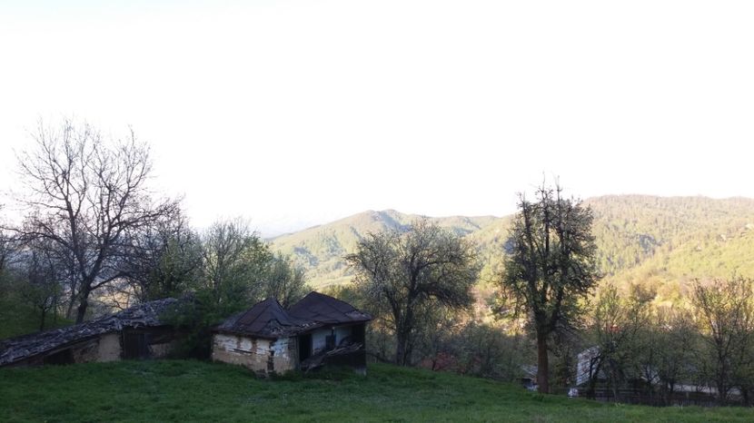 Un mic bordei - Drumetie 27 aprilie 2017