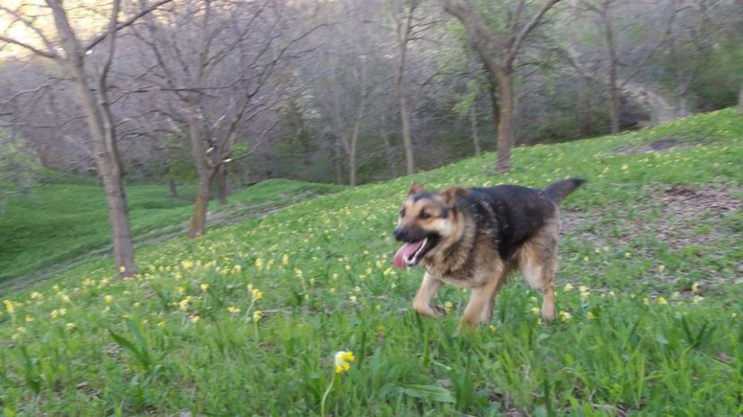  - Drumetie 27 aprilie 2017