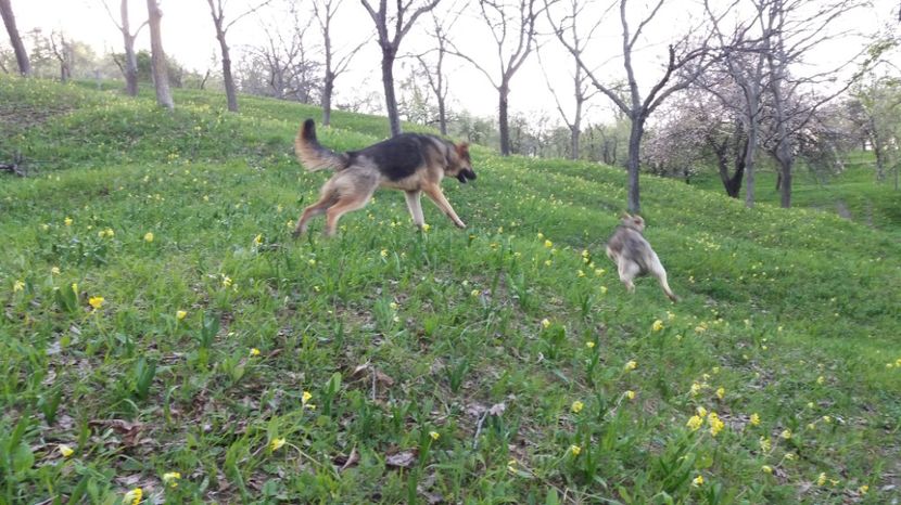  - Drumetie 27 aprilie 2017