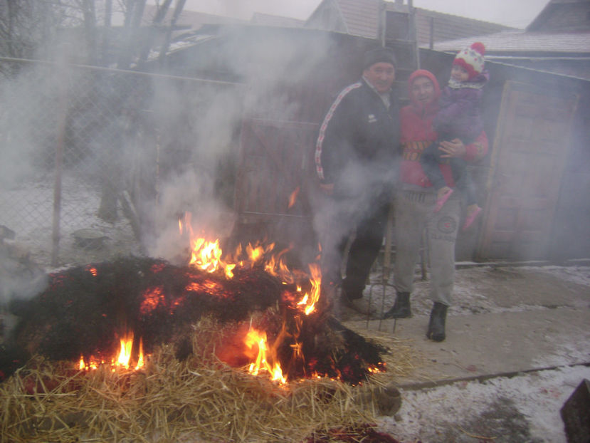  - SACRIFICARE TRADITIONALA PORC 2017