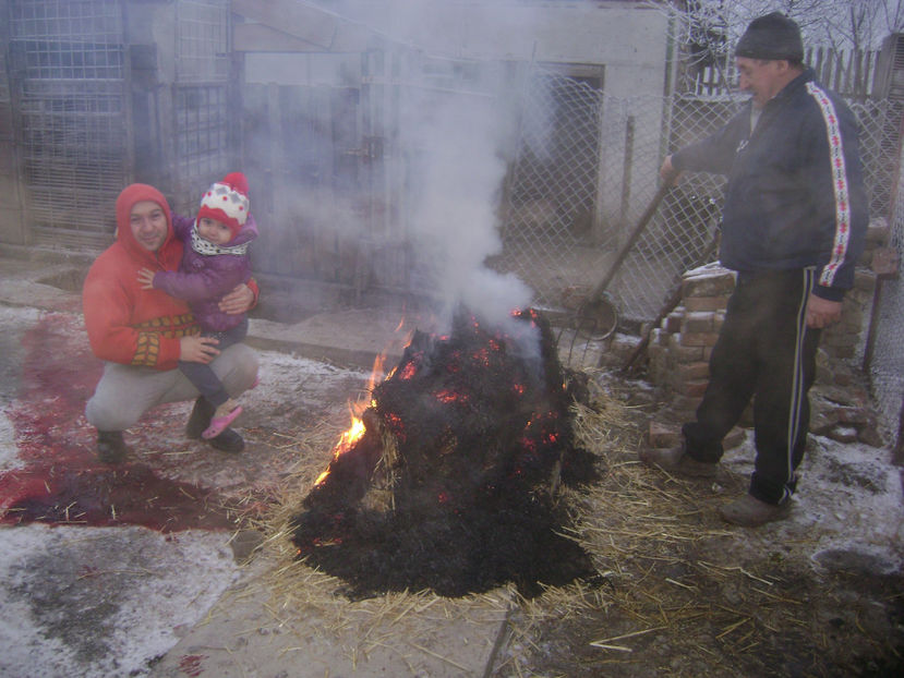  - SACRIFICARE TRADITIONALA PORC 2017