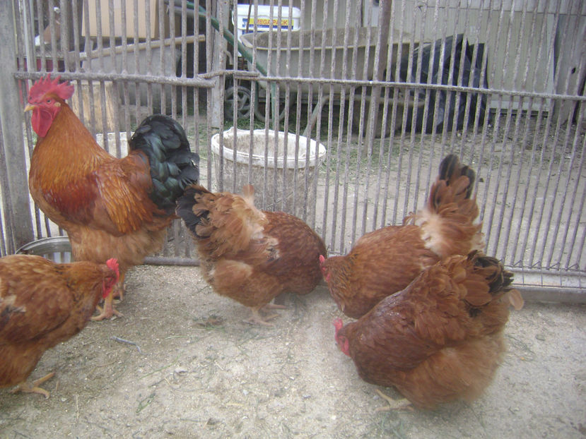 MATCA 2017 .1 - MATCA NEW HEMISPHERE 2017