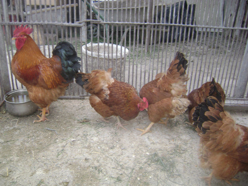 MATCA 2017.2 - MATCA NEW HEMISPHERE 2017