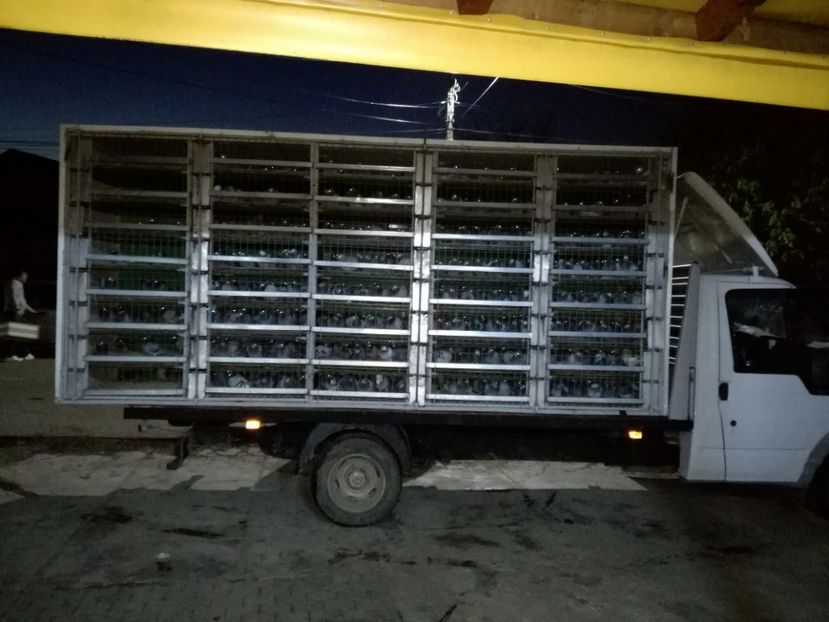  - 2017-DEBUT DE SEZON