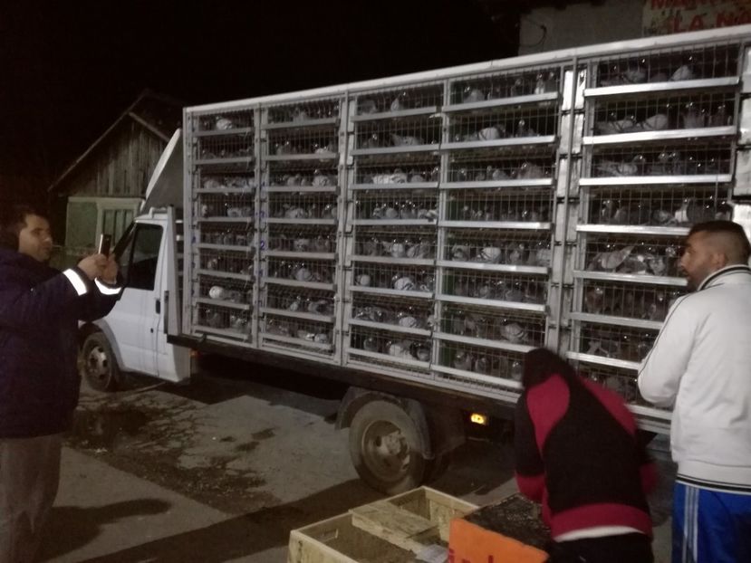  - 2017-DEBUT DE SEZON