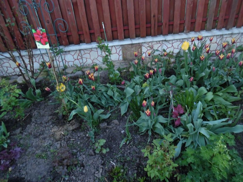  - 000 Aprilie in gradina
