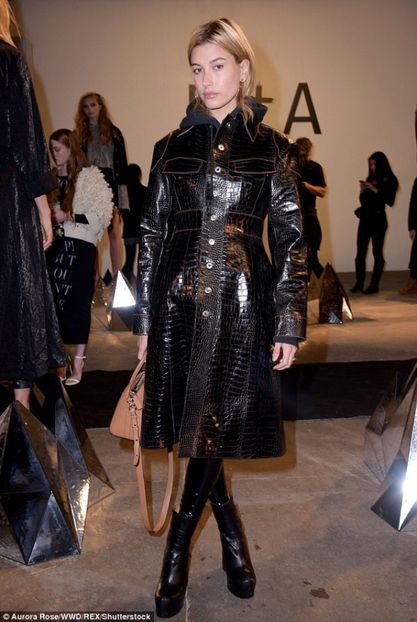 3D10E05800000578-0-image-m-80_1486780211808 - hailey baldwin