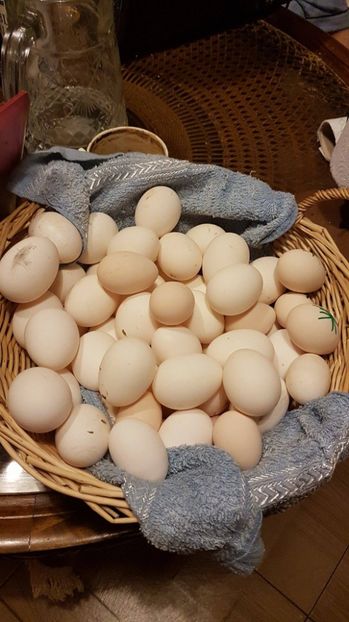 din nou o noua generatie - MATERNITATE