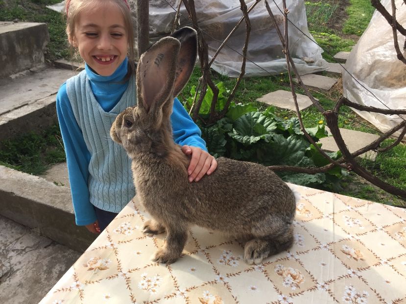 Din 07.01.2017 - TINERET 2017