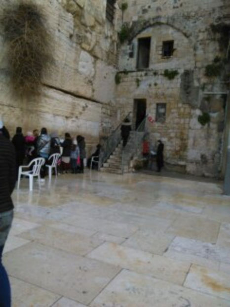  - poze de pe telefon