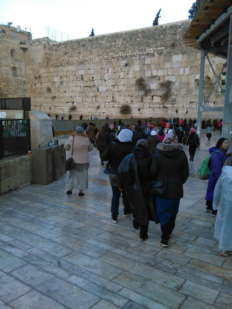  - poze de pe telefon