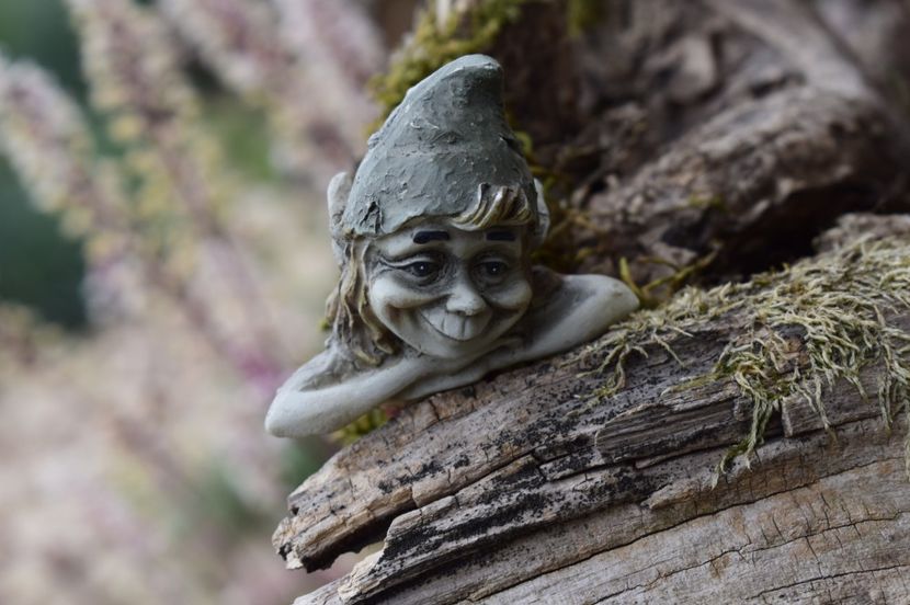 _DSC0250 - PRIMAVARA 2017