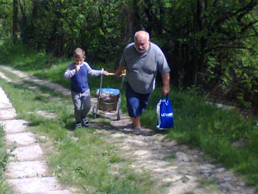 Fotografie2492 - 2017 GRADINA PRIMAVARA