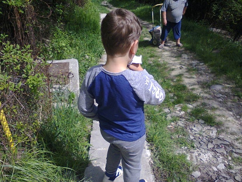 Fotografie2493 - 2017 GRADINA PRIMAVARA