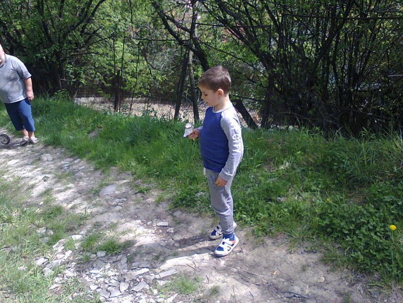 Fotografie2494 - 2017 GRADINA PRIMAVARA