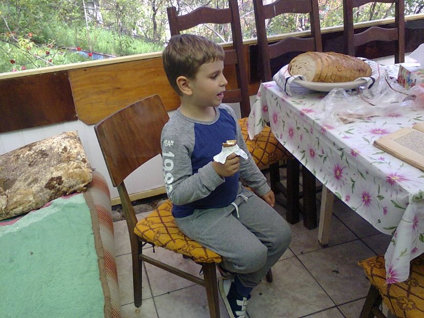 Fotografie2498 - 2017 GRADINA PRIMAVARA