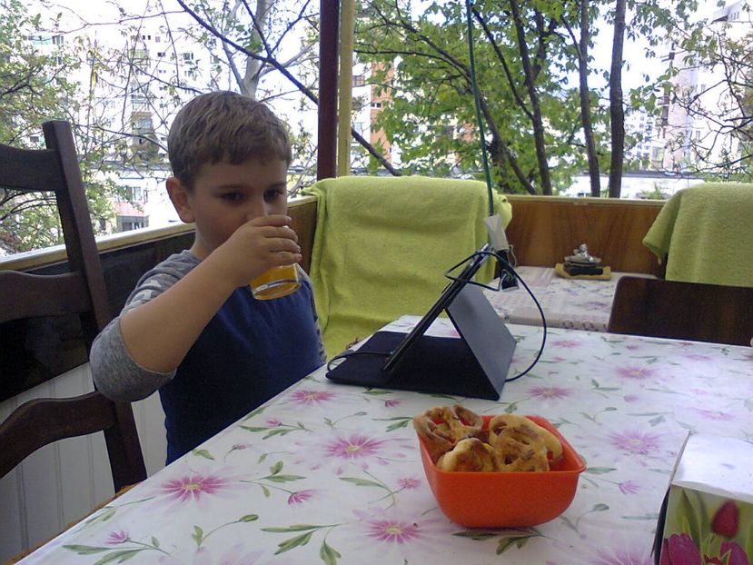 Fotografie2504 - 2017 GRADINA PRIMAVARA