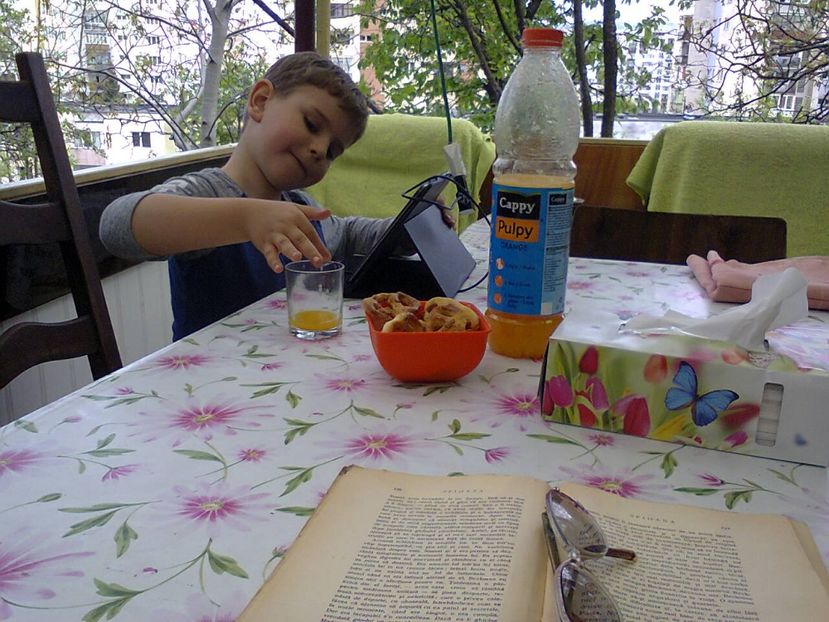 Fotografie2507 - 2017 GRADINA PRIMAVARA