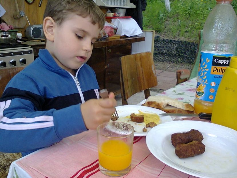 Fotografie2515 - 2017 GRADINA PRIMAVARA