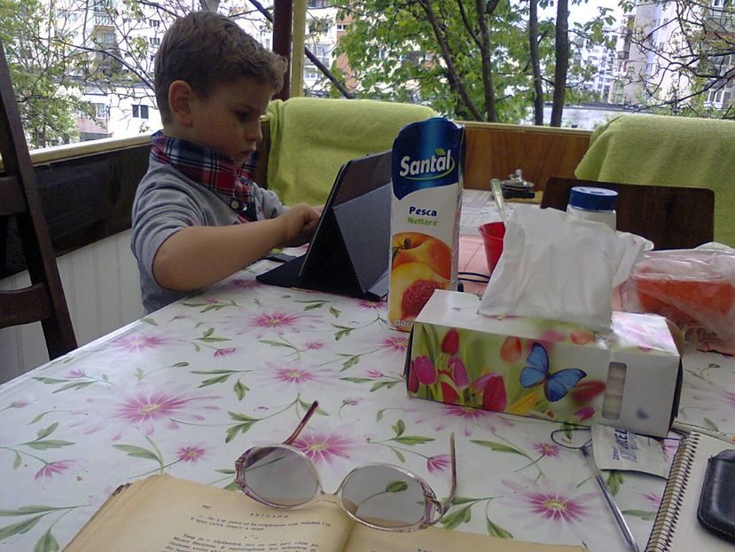 Fotografie2517 - 2017 GRADINA PRIMAVARA