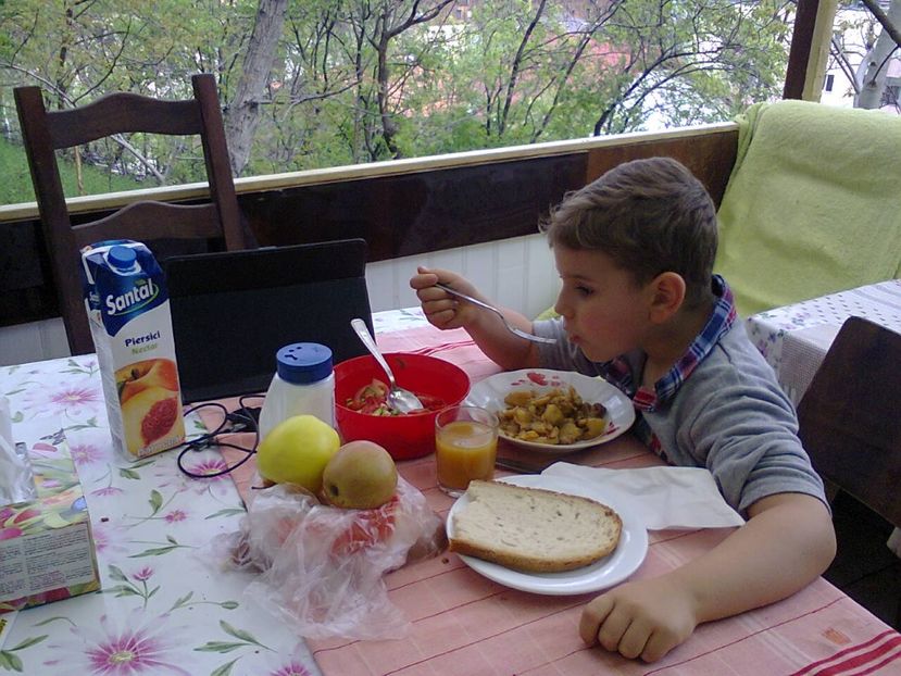 Fotografie2521 - 2017 GRADINA PRIMAVARA