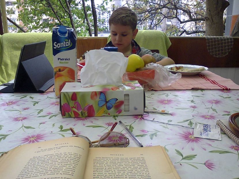 Fotografie2523 - 2017 GRADINA PRIMAVARA