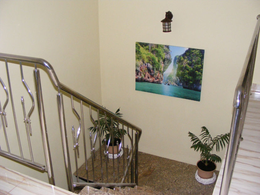 nou 009 - NOUL DOMICILIU