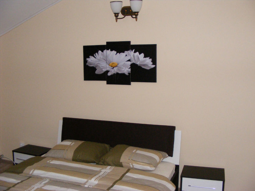 nou 017 - NOUL DOMICILIU