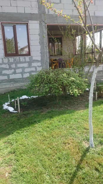  - Gradina primavara 2017