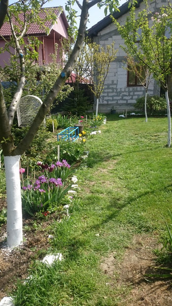  - Gradina primavara 2017