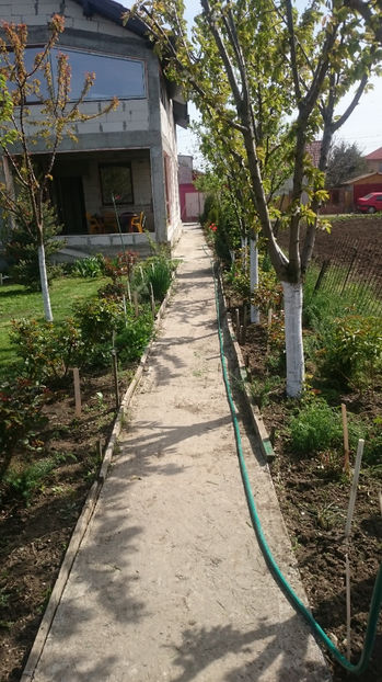  - Gradina primavara 2017
