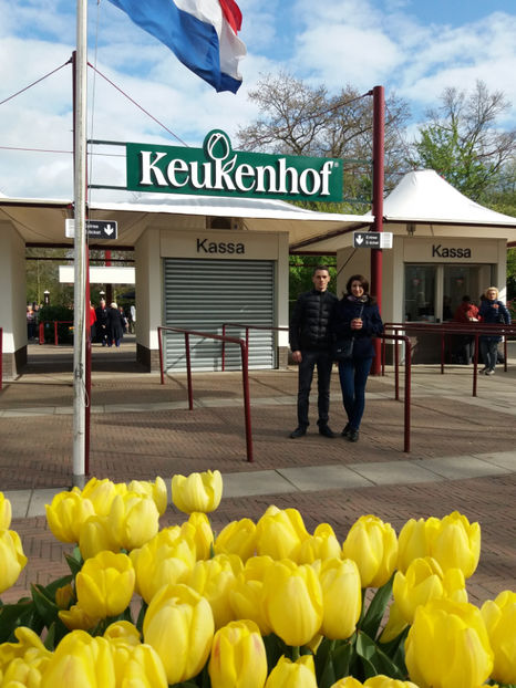 Picture 648 - Keukenhof Olanda-aprilie 2017
