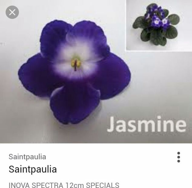 IMG-20170429-WA0036 - COLECTIE VIRTUALA violete