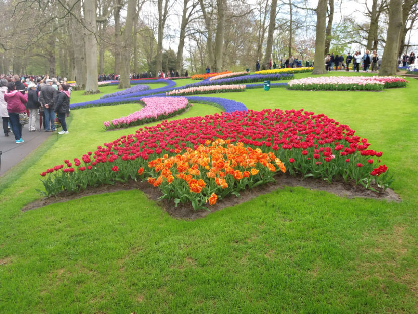 Picture 385 - Keukenhof Olanda-aprilie 2017