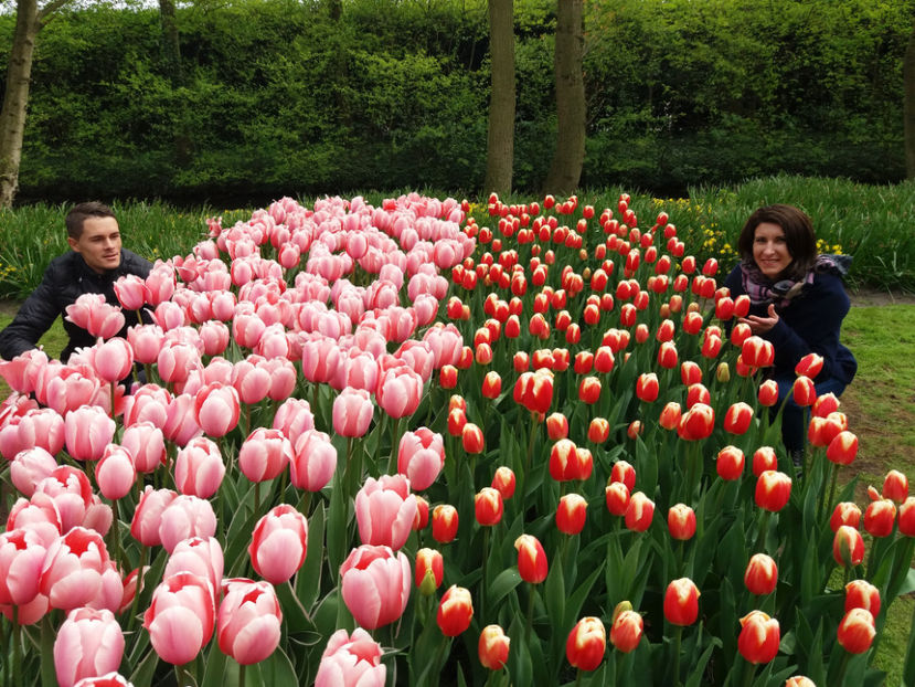 Picture 428 - Keukenhof Olanda-aprilie 2017